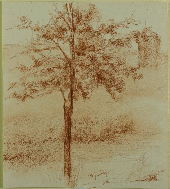 1902 - Albero